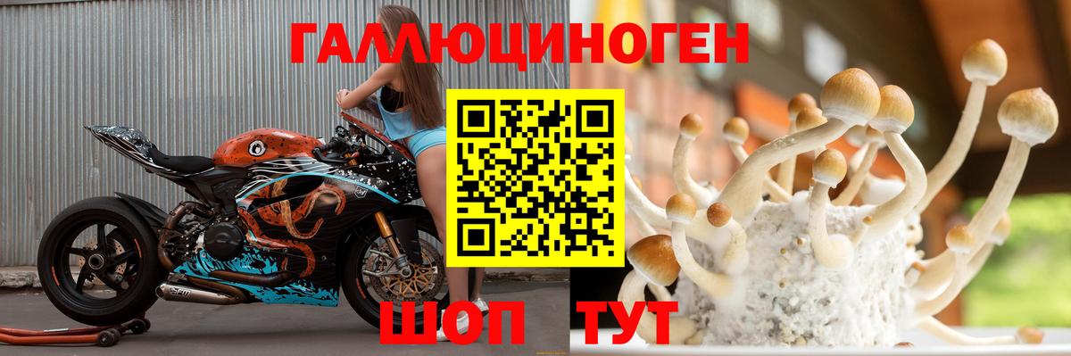 Галлюциногенные грибы прущие грибы Сыктывкар