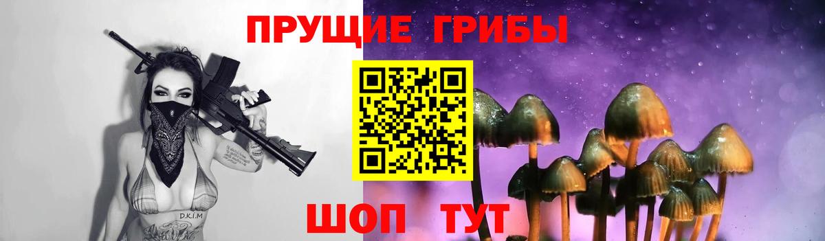 Сыктывкар  Галлюциногенные грибы Psilocybine cubensis  Вход с VPN 