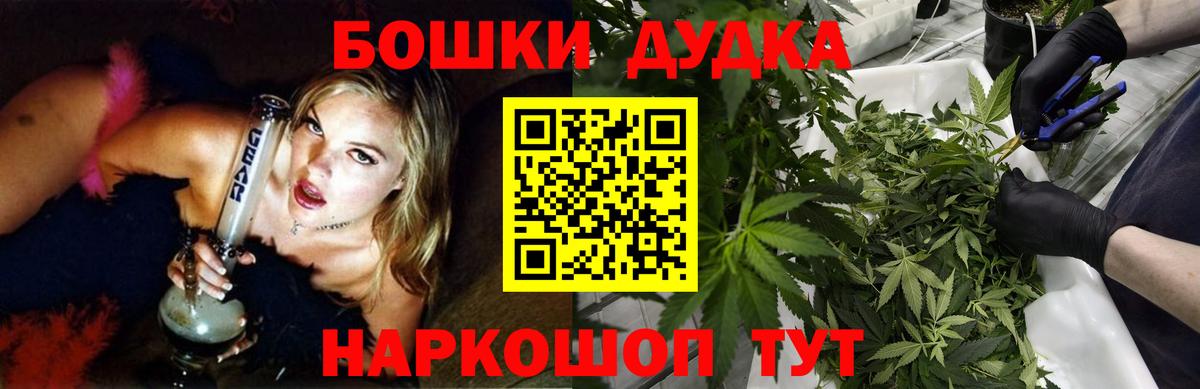 Каннабис индика Сыктывкар